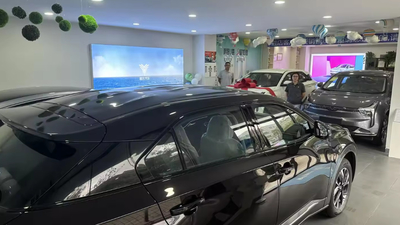 Chine Shenzhen Lvhuazhou New Energy Vehicle Development Co., Ltd.