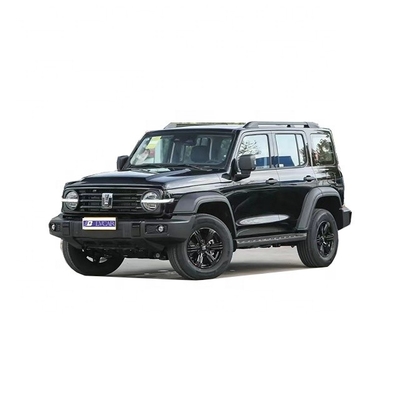 6 Changement de vitesse vers l'avant Grand réservoir 300 Voiture d'occasion avec R17 Taille du pneu et lumière électrique LED