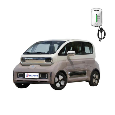 La voiture électrique la plus populaire pour adultes 2024