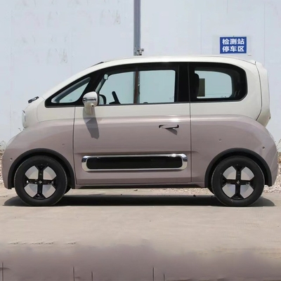 La voiture électrique la plus populaire pour adultes 2024