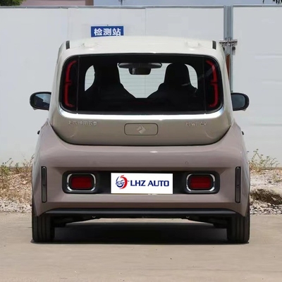 La voiture électrique la plus populaire pour adultes 2024
