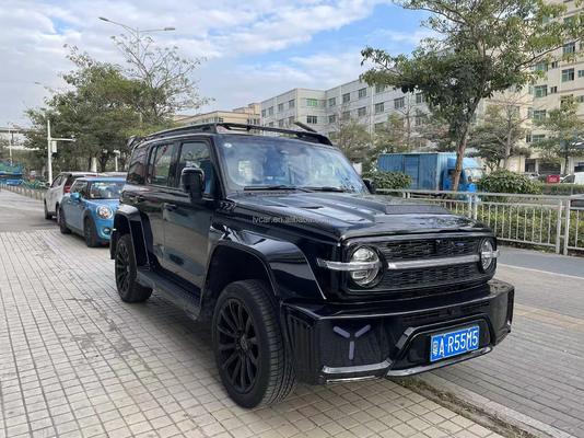 Tank 300 SUV voiture avec caméra arrière et climatisation automatique en version personnalisée