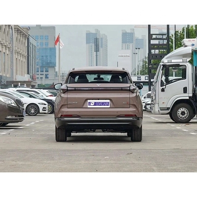 Le dernier SUV électrique de Neta U-II 500 pour ménage 500 km de gamme électrique pure en marron
