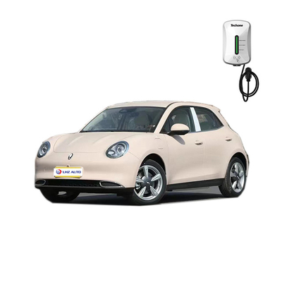 2023 ORA SUV électrique Voiture avec climatisation automatique et système de divertissement de voiture