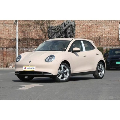 2023 ORA SUV électrique Voiture avec climatisation automatique et système de divertissement de voiture
